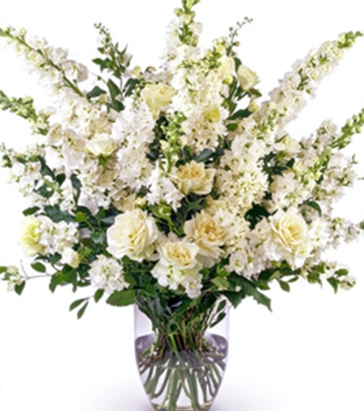 Always in Our Hearts