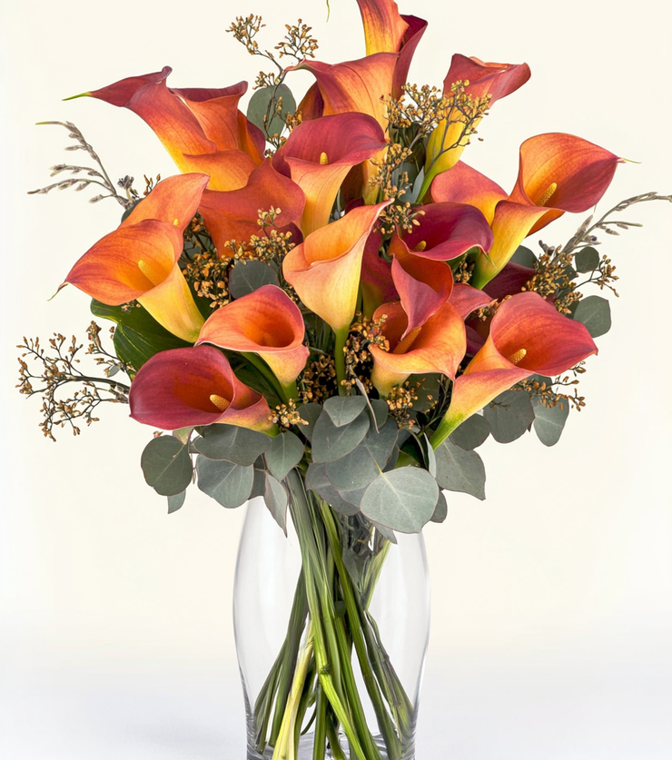 Mango Calla Lilies