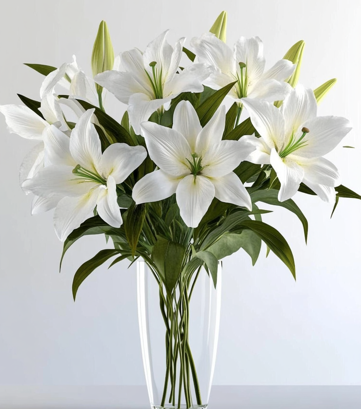 Precious Lilies Precious Lilies