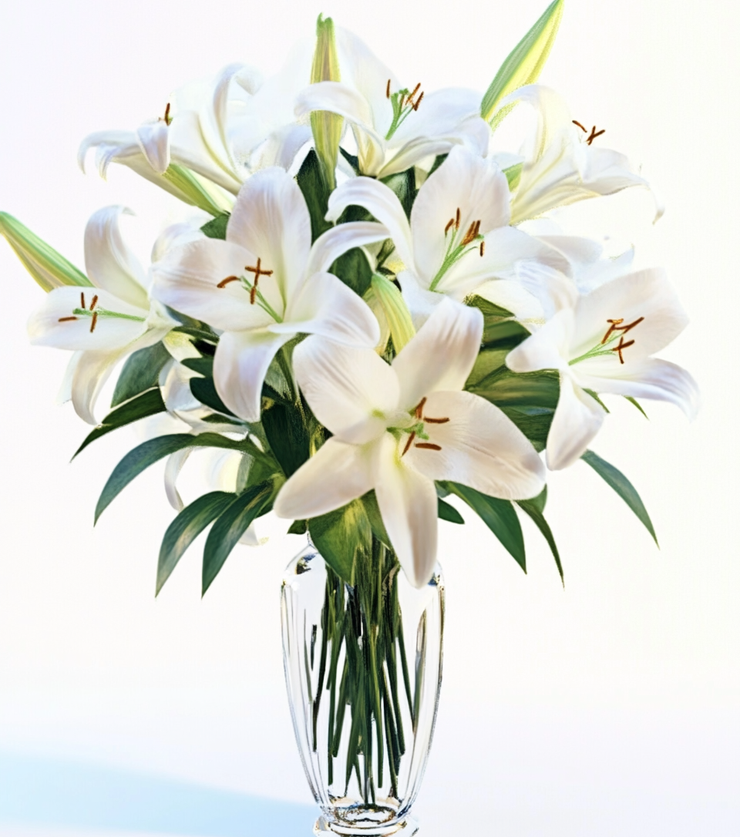 Pristine White Lily