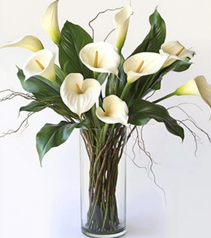 Withe Flowe White Callas - Sunny Flower Delivery